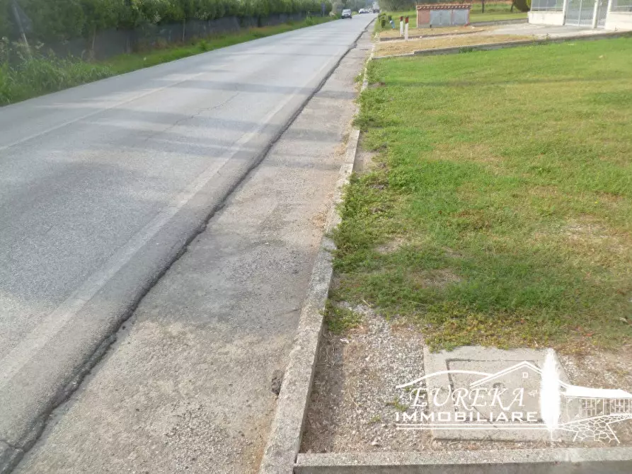 Immagine 5 di Terreno in vendita  in Via Roma, Castiglione del lago a Castiglione Del Lago