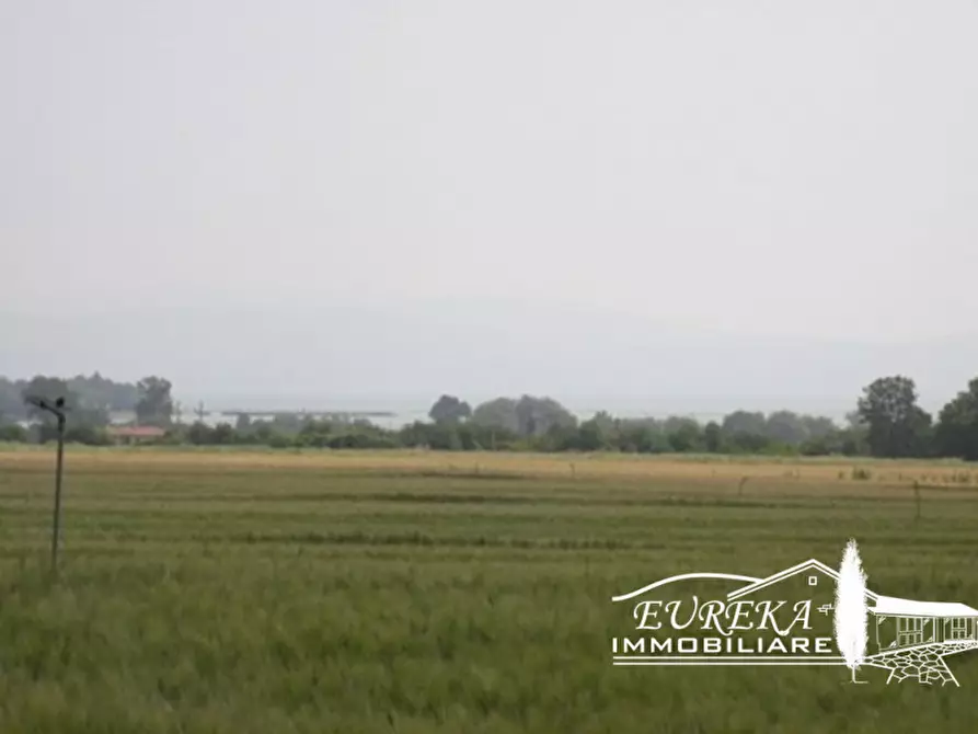 Immagine 7 di Terreno in vendita  in Via Roma, Castiglione del lago a Castiglione Del Lago