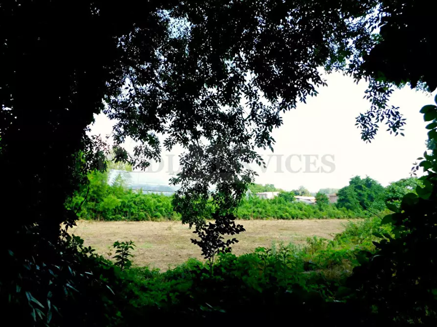 Immagine 50 di Palazzo in vendita  in via Castello n° 35 a Cergnago