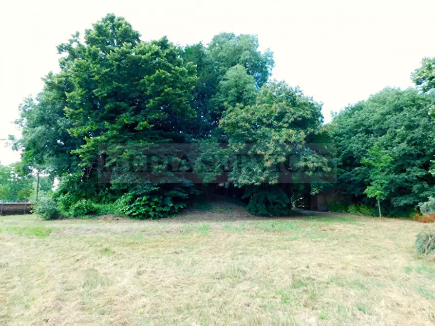 Immagine 58 di Palazzo in vendita  in via Castello n° 35 a Cergnago