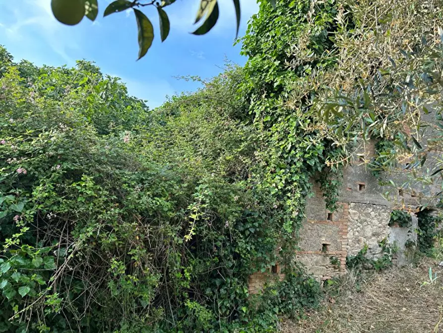 Immagine 9 di Casa indipendente in vendita  in Via Palmiro Togliatti, 195 a San Filippo Del Mela