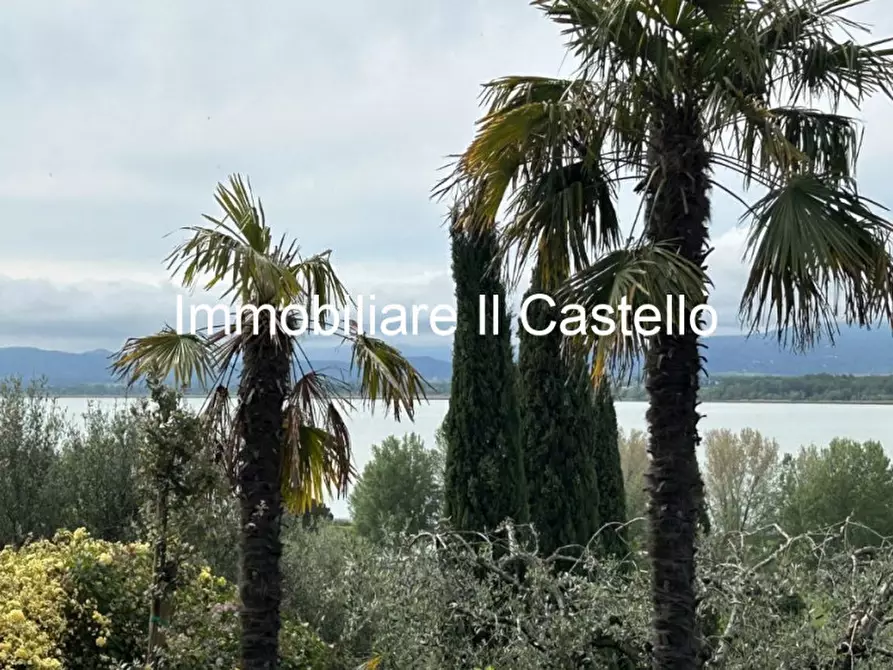 Immagine 3 di Villa in vendita  a Castiglione Del Lago