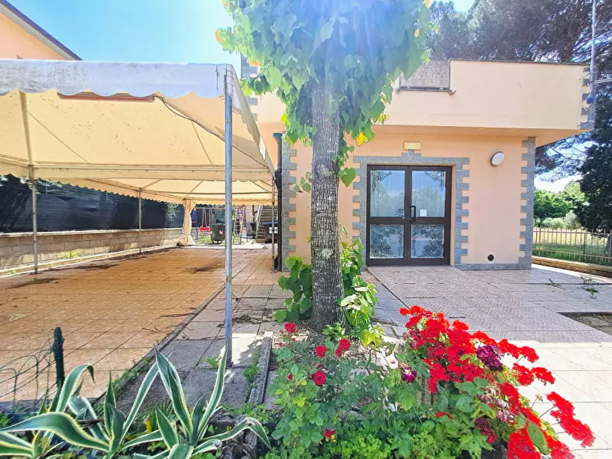 Immagine 2 di Attività commerciale in vendita  in via porto a Tuoro Sul Trasimeno