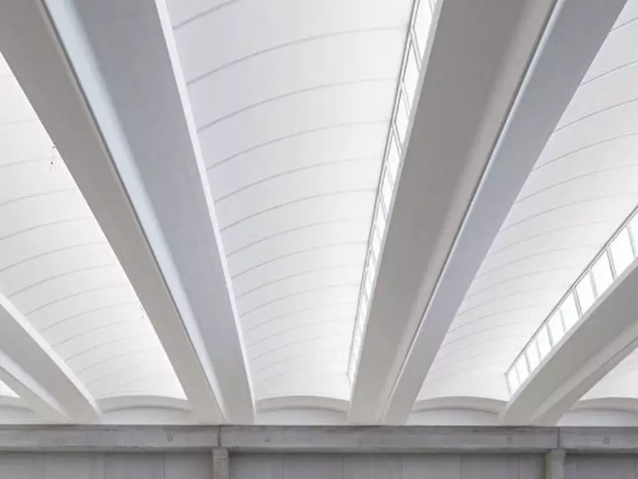 Immagine 2 di Capannone industriale in vendita  a Castelfranco Veneto