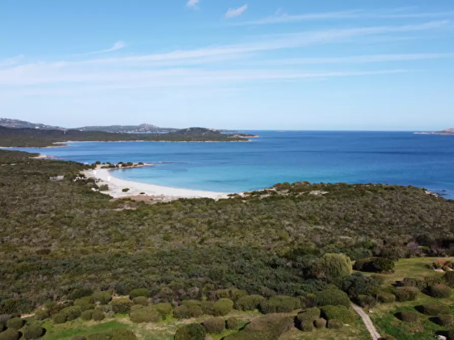 Immagine 12 di Appartamento in vendita  in Località Portisco a Olbia