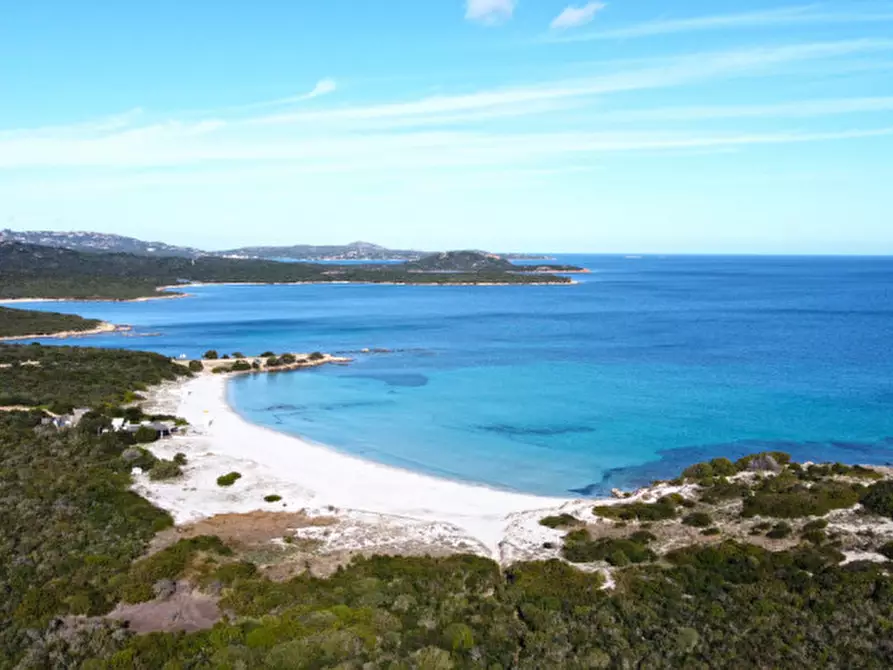 Immagine 13 di Appartamento in vendita  in Località Portisco a Olbia
