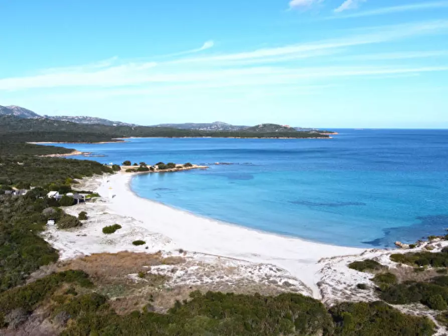 Immagine 14 di Appartamento in vendita  in Località Portisco a Olbia