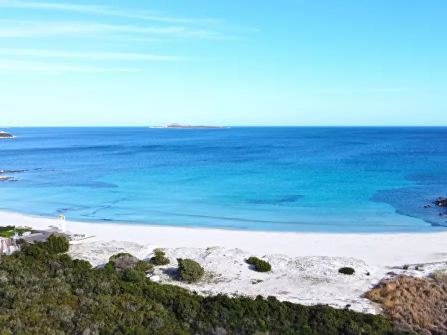 Immagine 15 di Appartamento in vendita  in Località Portisco a Olbia