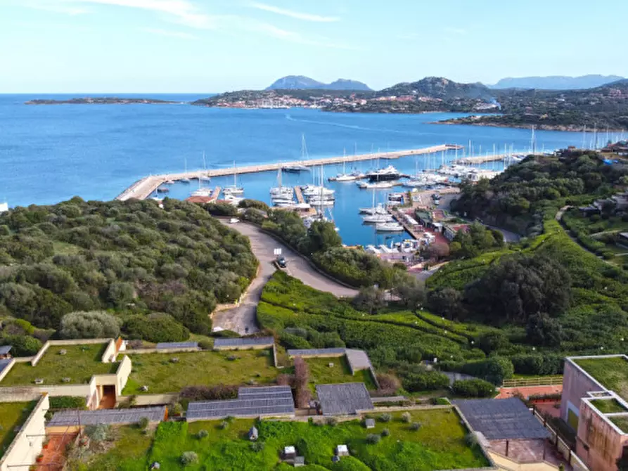Immagine 16 di Appartamento in vendita  in Località Portisco a Olbia