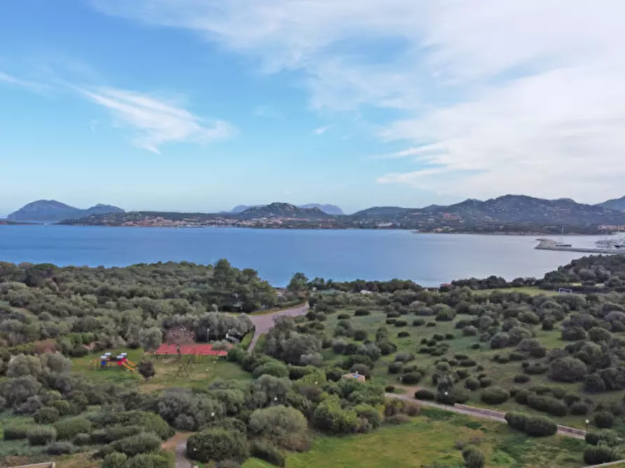 Immagine 18 di Appartamento in vendita  in Località Portisco a Olbia