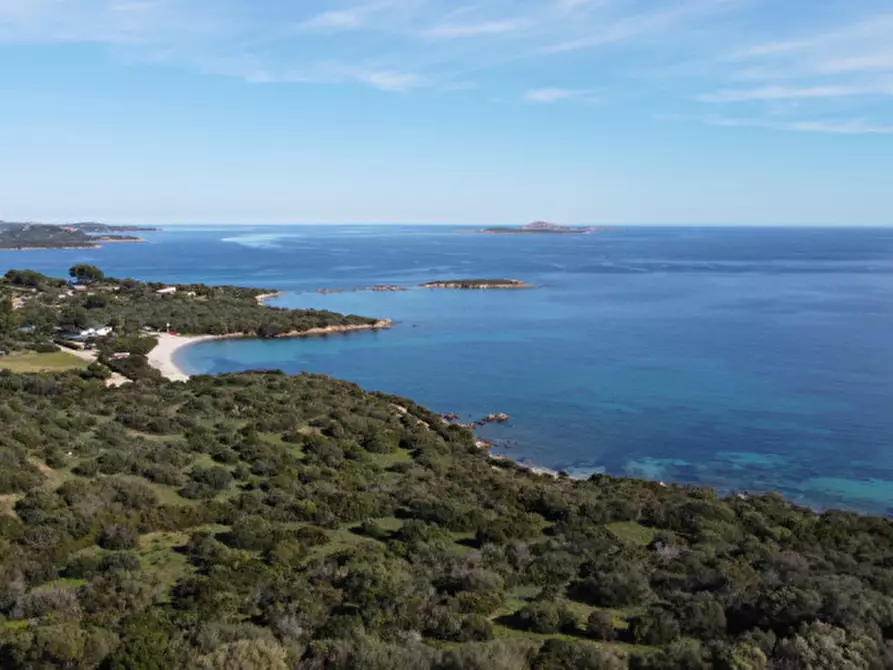 Immagine 26 di Appartamento in vendita  in Località Portisco a Olbia