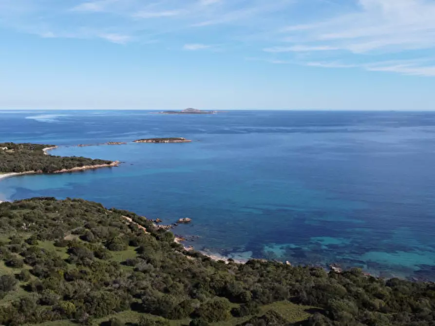 Immagine 27 di Appartamento in vendita  in Località Portisco a Olbia