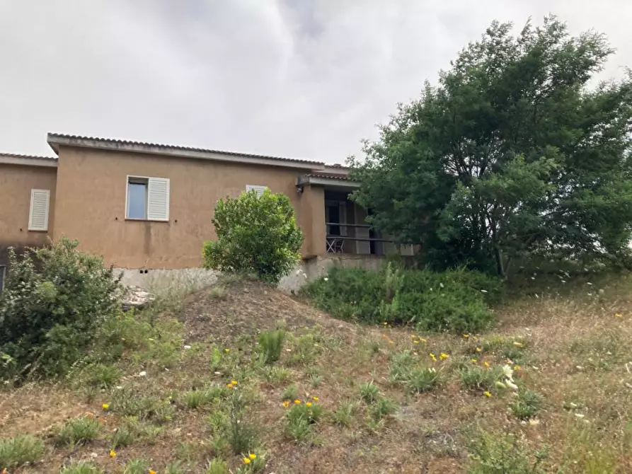 Immagine 20 di Villa in vendita  in via monticanaglia a Arzachena