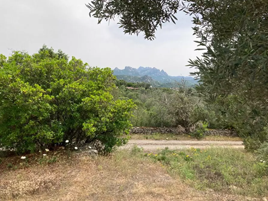 Immagine 21 di Villa in vendita  in via monticanaglia a Arzachena