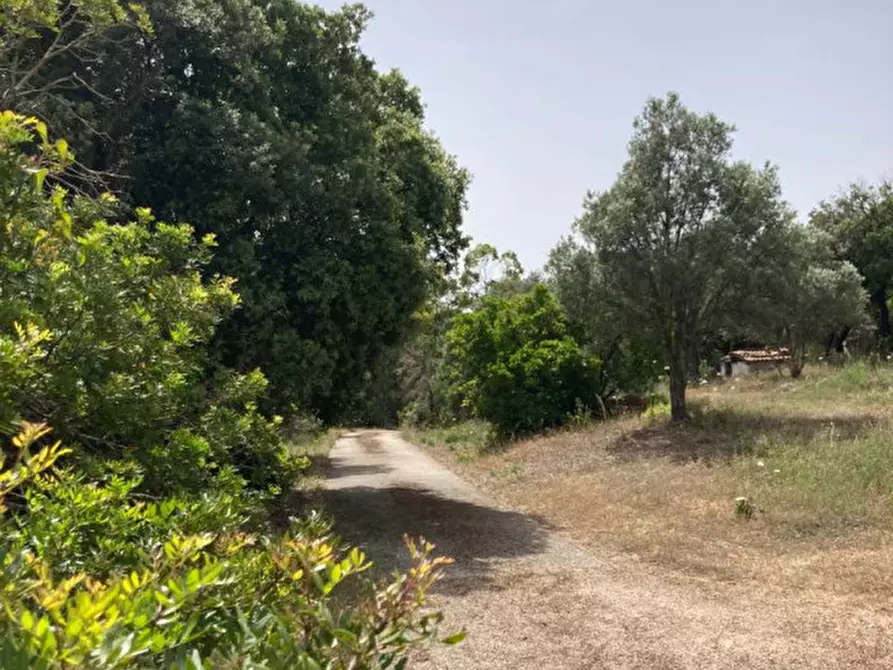 Immagine 22 di Villa in vendita  in via monticanaglia a Arzachena