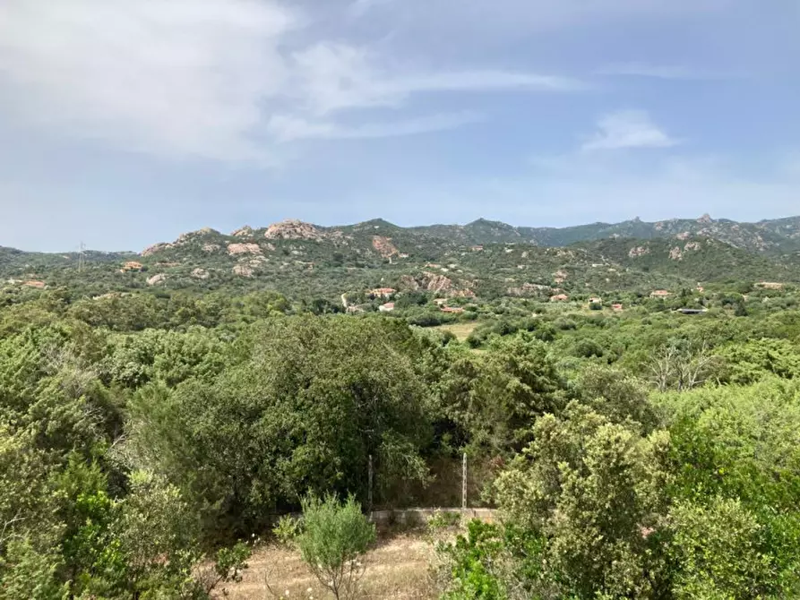 Immagine 23 di Villa in vendita  in via monticanaglia a Arzachena