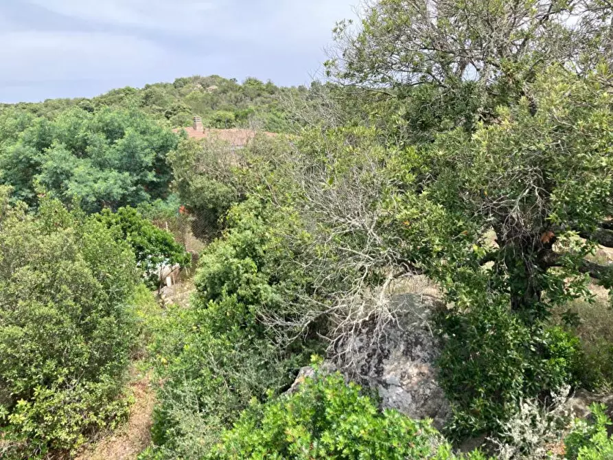 Immagine 24 di Villa in vendita  in via monticanaglia a Arzachena