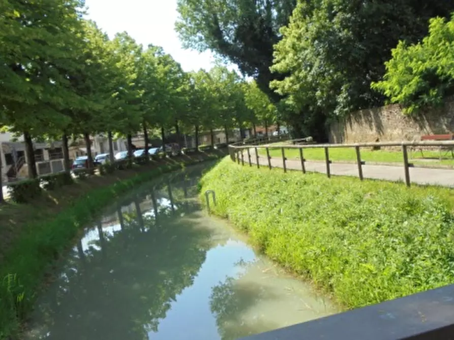 Immagine 2 di Magazzino in vendita  a Fratta Polesine