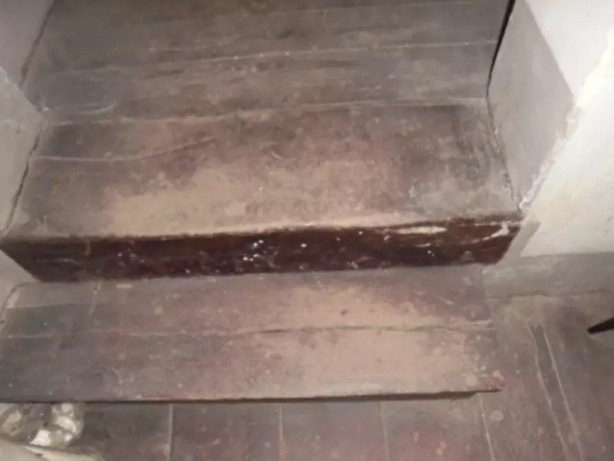 Immagine 16 di Magazzino in vendita  a Fratta Polesine