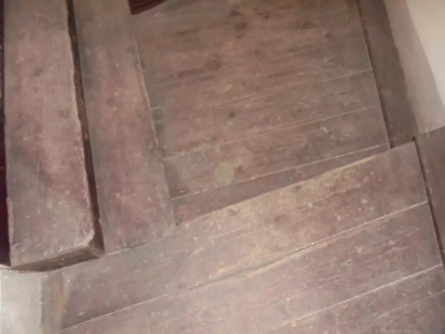 Immagine 17 di Magazzino in vendita  a Fratta Polesine