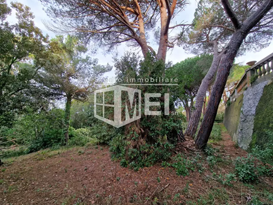Immagine 30 di Villa in vendita  in via della valle benedetta a Livorno
