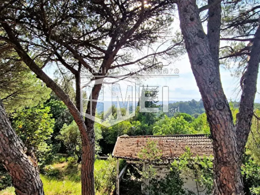 Immagine 31 di Villa in vendita  in via della valle benedetta a Livorno
