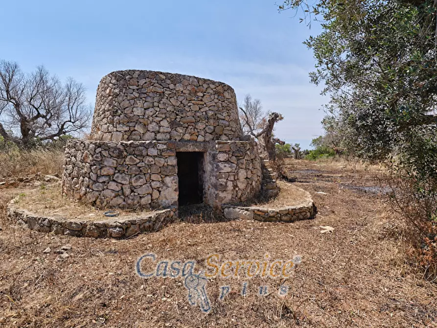 Immagine 2 di Rustico / casale in vendita  in Località Macchia a Taviano