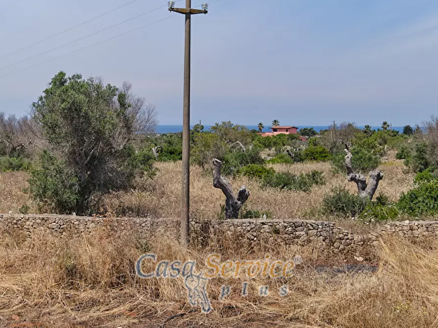 Immagine 5 di Rustico / casale in vendita  in Località Macchia a Taviano