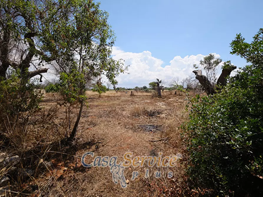 Immagine 10 di Rustico / casale in vendita  in Località Macchia a Taviano