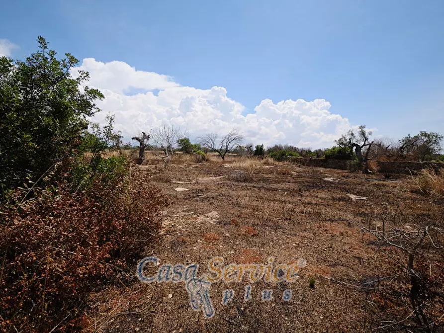 Immagine 11 di Rustico / casale in vendita  in Località Macchia a Taviano