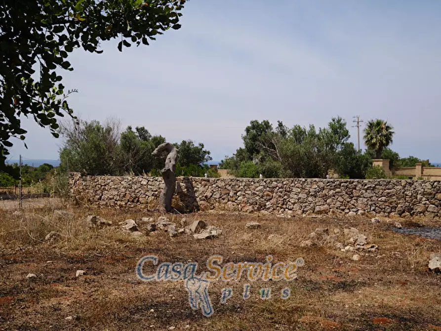 Immagine 14 di Rustico / casale in vendita  in Località Macchia a Taviano