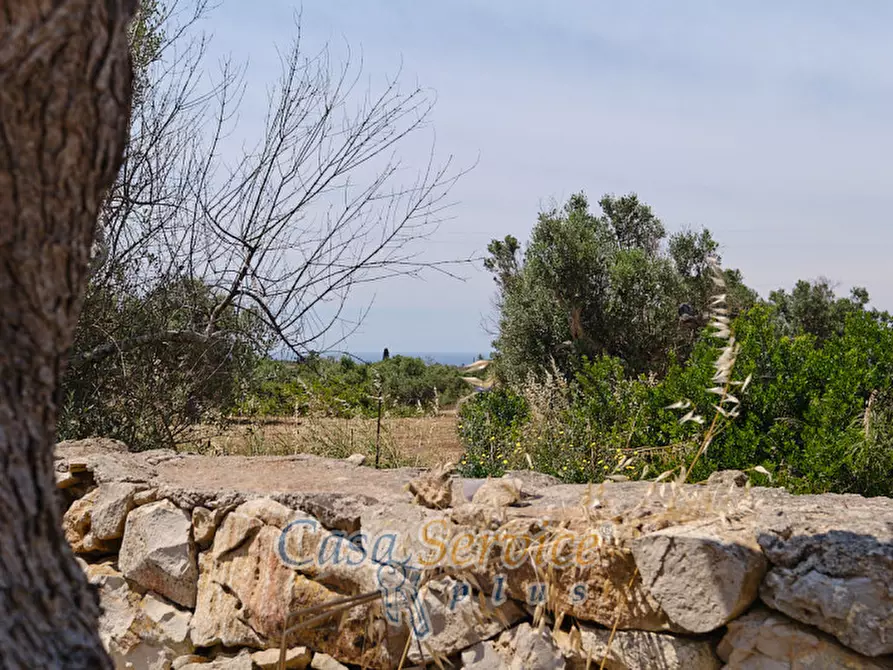Immagine 15 di Rustico / casale in vendita  in Località Macchia a Taviano