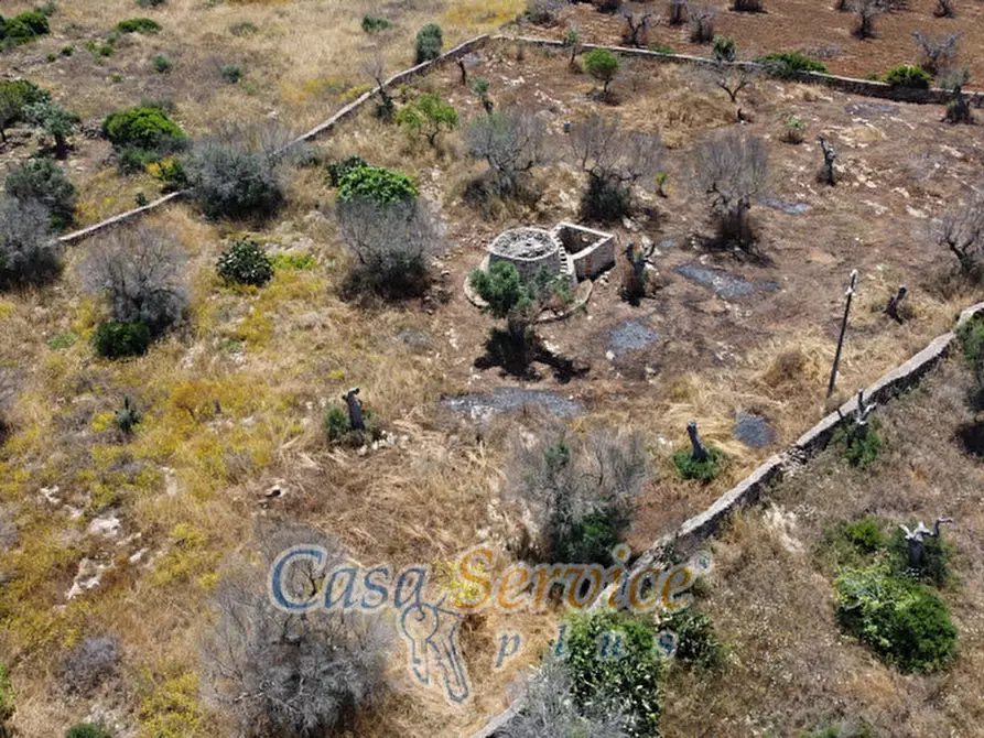 Immagine 19 di Rustico / casale in vendita  in Località Macchia a Taviano
