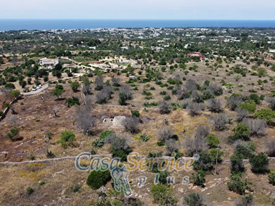 Immagine 21 di Rustico / casale in vendita  in Località Macchia a Taviano