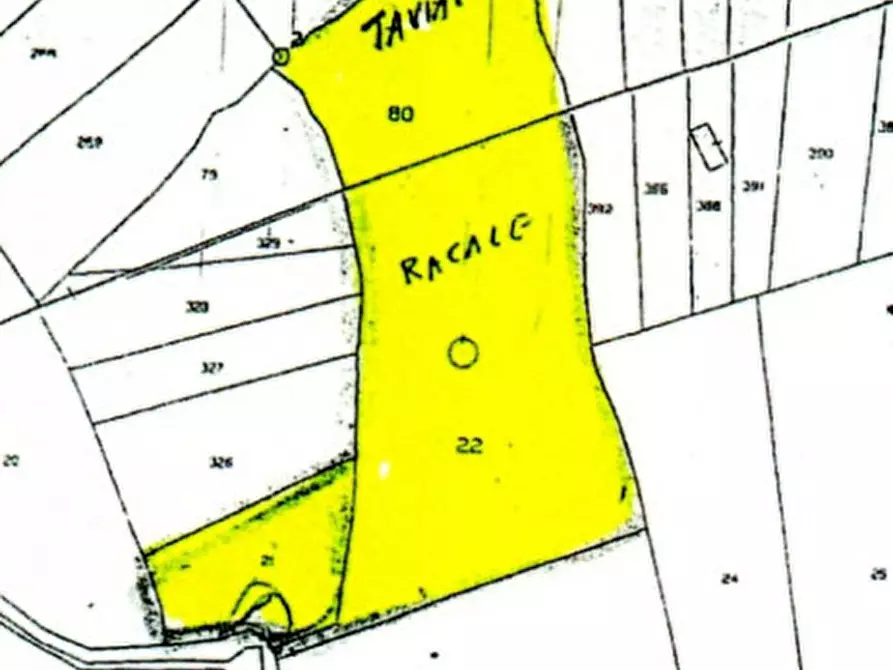 Immagine 22 di Rustico / casale in vendita  in Località Macchia a Taviano