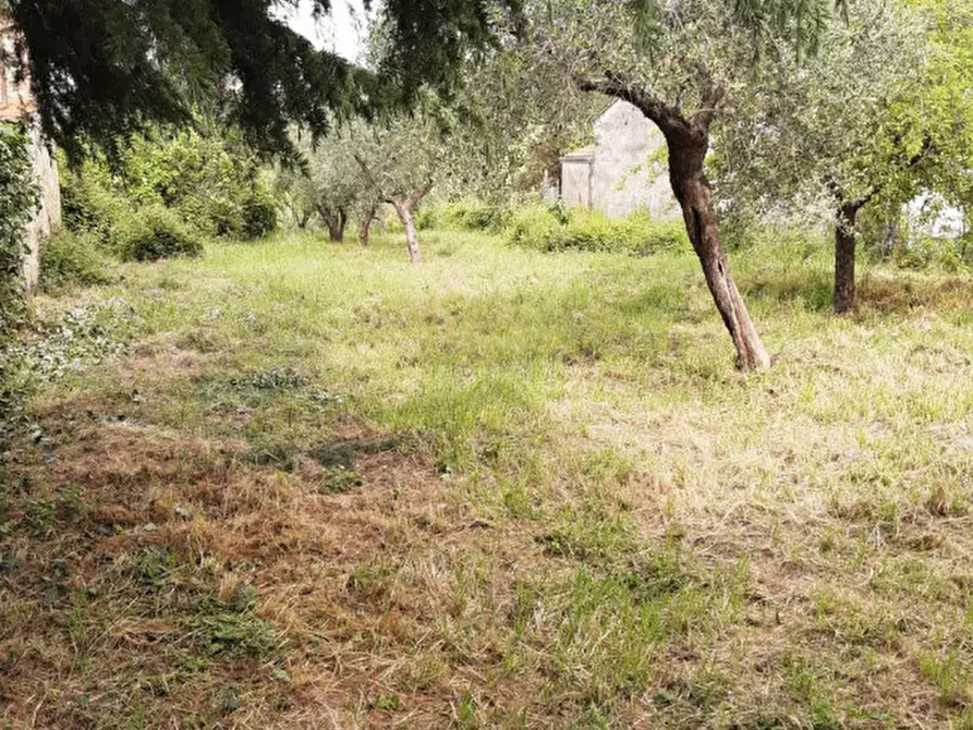 Immagine 2 di Rustico / casale in vendita  in s.arcangelo a Magione