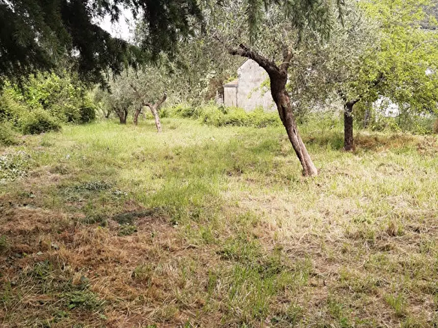 Immagine 4 di Rustico / casale in vendita  in s.arcangelo a Magione