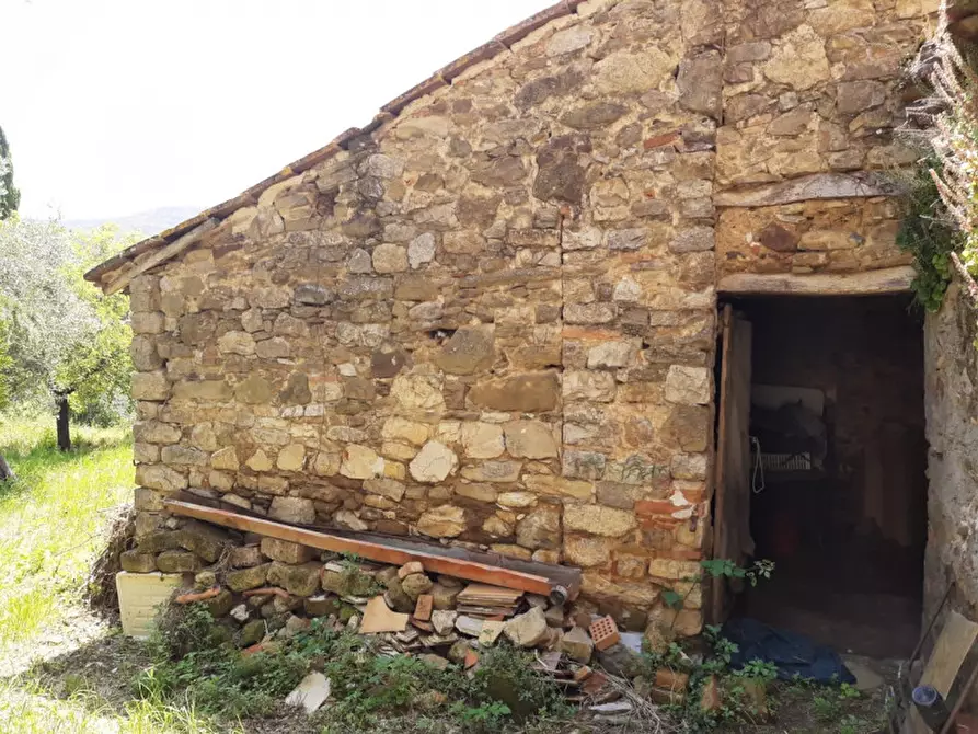 Immagine 5 di Rustico / casale in vendita  in s.arcangelo a Magione