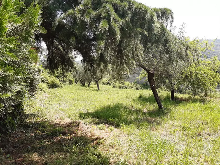 Immagine 9 di Rustico / casale in vendita  in s.arcangelo a Magione