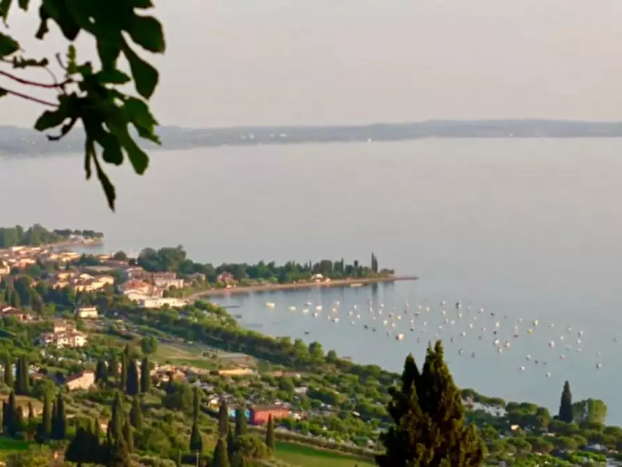 Immagine 1 di Negozio in vendita  a Bardolino
