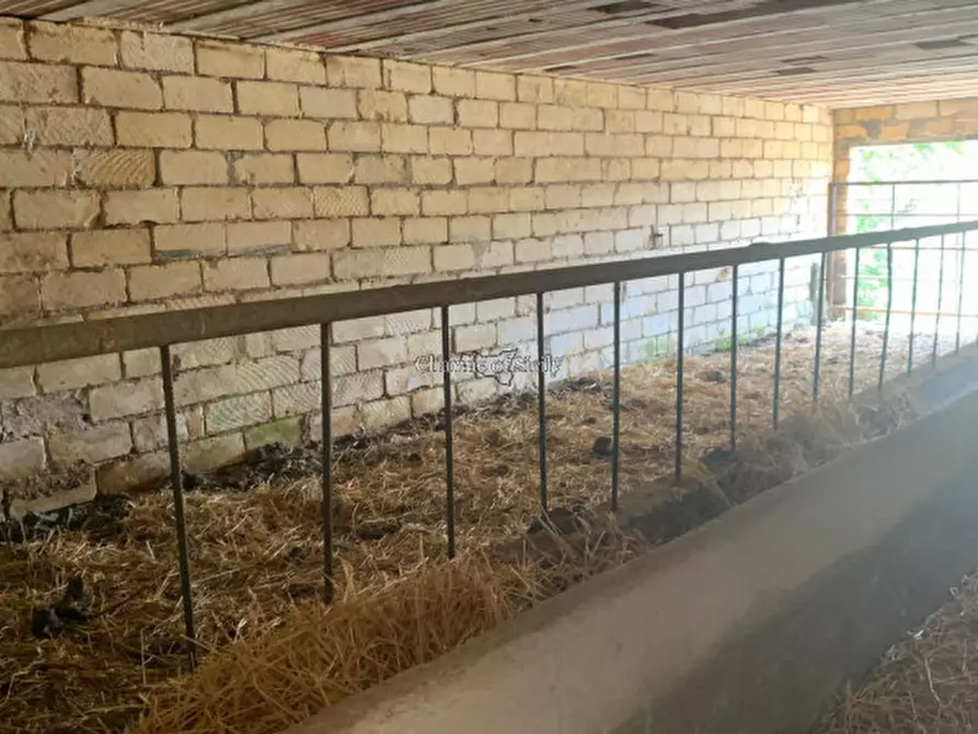 Immagine 3 di Rustico / casale in vendita  in Contrada Bellocozzo a Ragusa