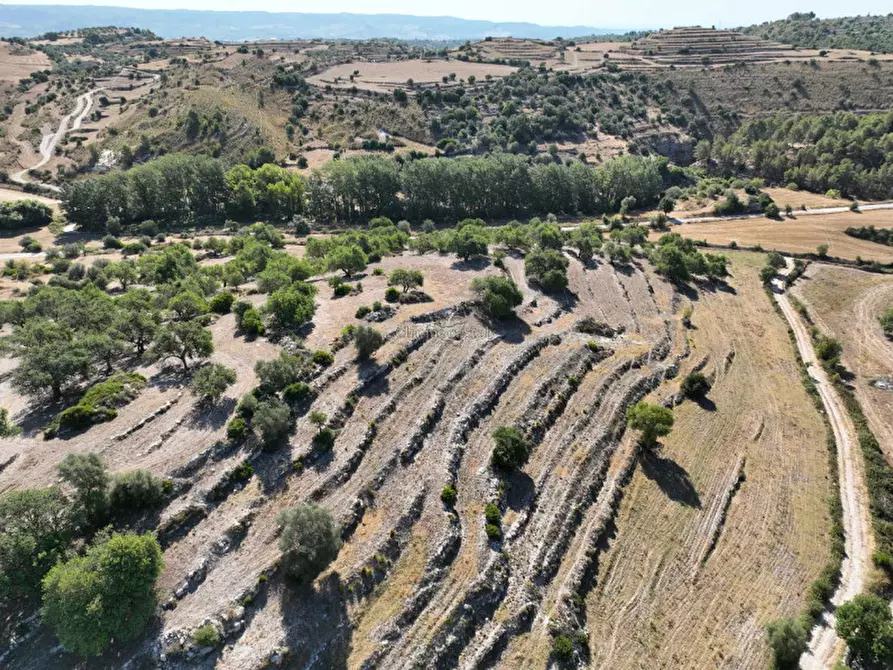 Immagine 5 di Rustico / casale in vendita  in Contrada Bellocozzo a Ragusa