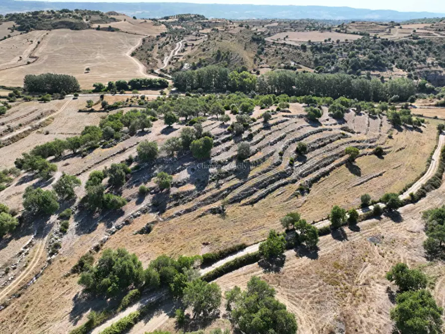 Immagine 8 di Rustico / casale in vendita  in Contrada Bellocozzo a Ragusa