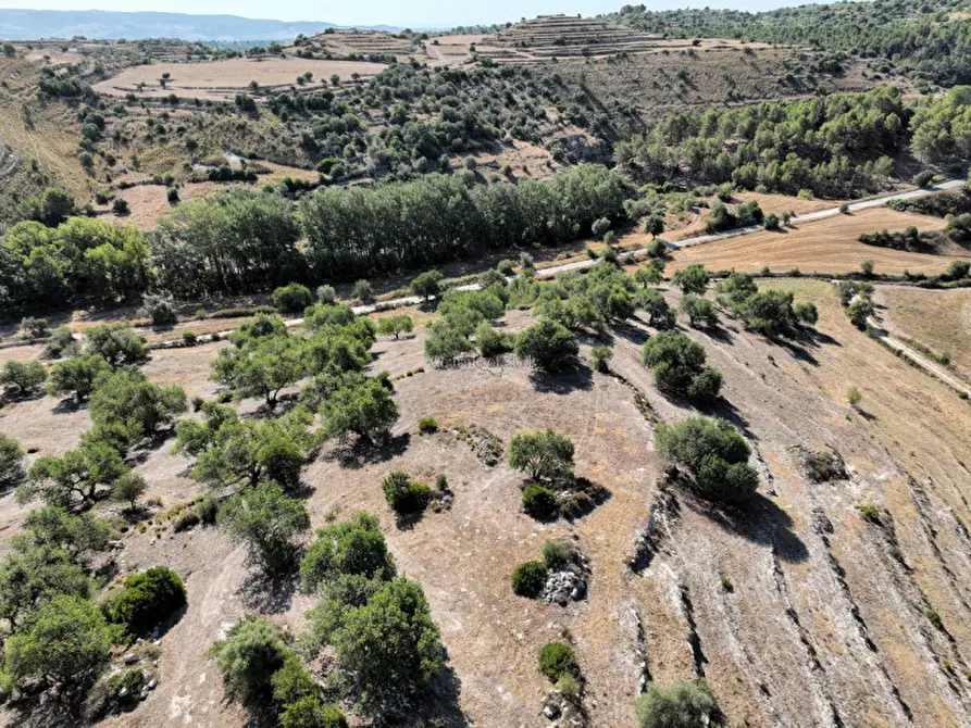 Immagine 9 di Rustico / casale in vendita  in Contrada Bellocozzo a Ragusa