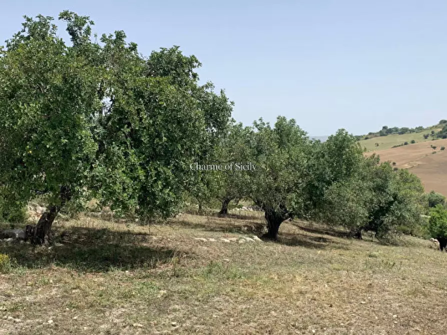 Immagine 12 di Rustico / casale in vendita  in Contrada Bellocozzo a Ragusa