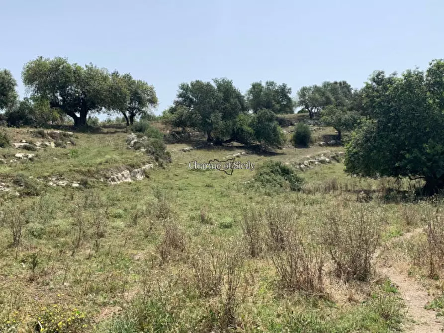 Immagine 15 di Rustico / casale in vendita  in Contrada Bellocozzo a Ragusa