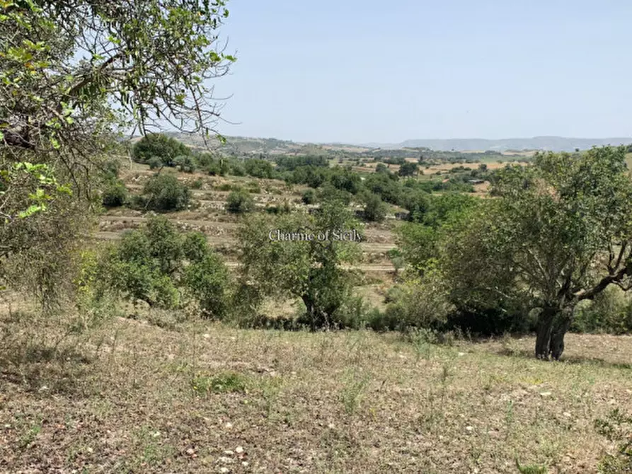 Immagine 16 di Rustico / casale in vendita  in Contrada Bellocozzo a Ragusa