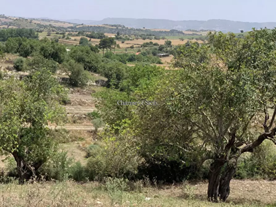 Immagine 17 di Rustico / casale in vendita  in Contrada Bellocozzo a Ragusa
