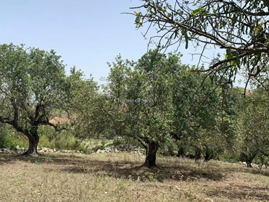 Immagine 18 di Rustico / casale in vendita  in Contrada Bellocozzo a Ragusa