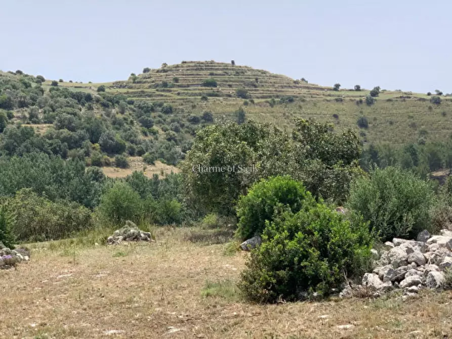 Immagine 21 di Rustico / casale in vendita  in Contrada Bellocozzo a Ragusa